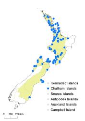 Hypolepis lactea distribution map based on databased records at AK, CHR & WELT.
 Image: K. Boardman © Landcare Research 2017 CC BY 3.0 NZ
